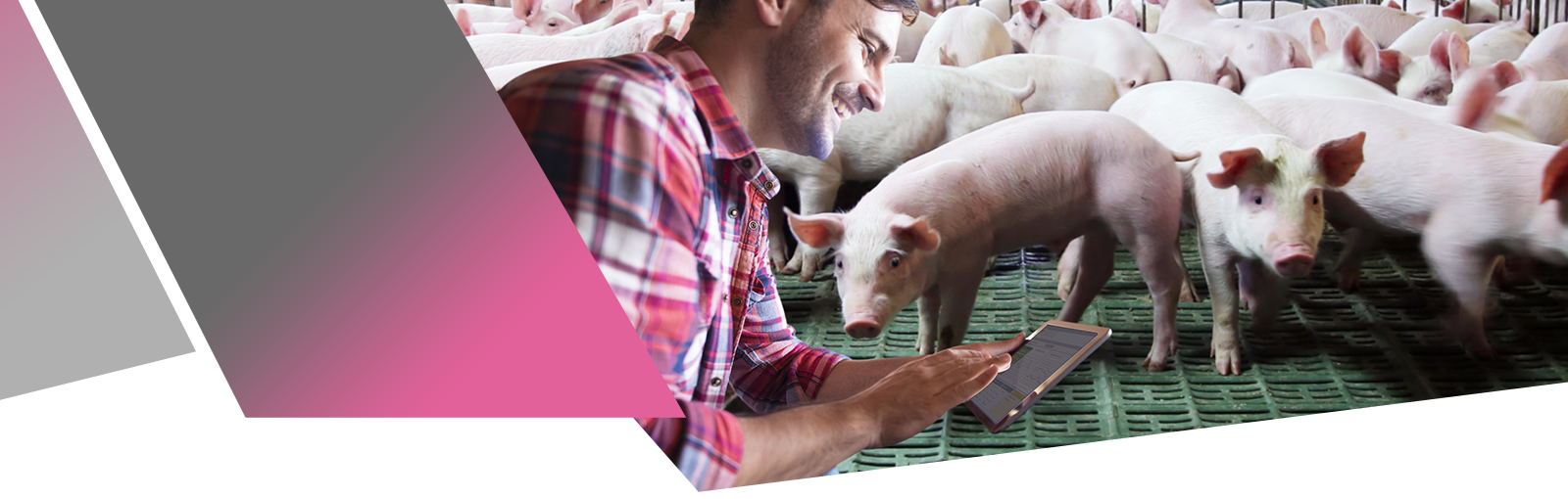 bandeau_haut_page_produit