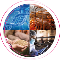 Camenbert_consultant_200x200px (1)