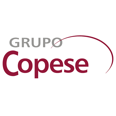 Grupo Copese